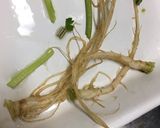 パクチーの根の天ぷらとパクチーのかき揚げ作り方2写真