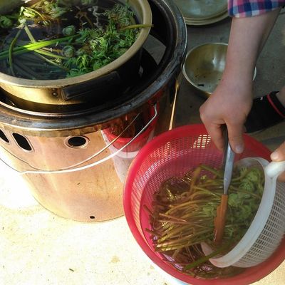 乾燥ぜんまい　② ぜんまい煮物.jpg