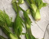 カロリーダウン！コシアブラのおから衣焼き作り方1写真
