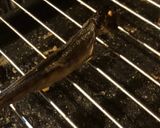 イワナの骨酒 ガスオーブンde焼き枯らし作り方6写真