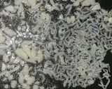 カツオのたたきと、新たまサラダ作り方1写真