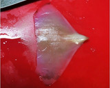 イカと胡瓜の中華クリーム炒め作り方8写真