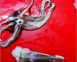 イカと胡瓜の中華クリーム炒め作り方19写真