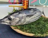 レアがおすすめ?!カツオサンド作り方1写真