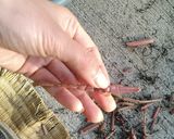 保存食☆干し(乾燥)ぜんまいの作り方作り方8写真