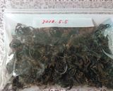 保存食☆干し(乾燥)ぜんまいの作り方作り方11写真