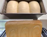 自家製酵母の食パン(定番の山食)作り方18写真