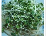 ミツカンすし酢で★まろやかてりてりチキン作り方5写真