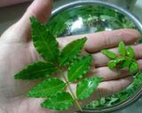 ご飯のお供♪山椒の葉 佃煮♪作り方1写真