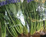 ☕ほうれん草と挽肉の喫茶店家カレー作り方6写真