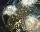 かき揚げ 大豆とひじき作り方6写真