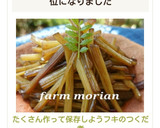 たくさん作って保存しよう❤フキのつくだ煮作り方10写真