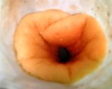 自分の為のひな祭りケーキ*^^*作り方5写真