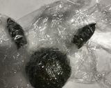 キャラ弁 ポケモン ブラッキー作り方3写真