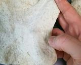 ホエーで私のピザがワンランクup♪作り方4写真