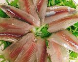 白身魚の和風カルパッチョ作り方2写真
