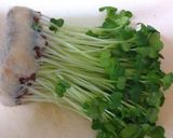 旦那と私の好きなかいわれ大根お浸し作り方2写真