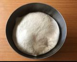 酵母起こしからの酒粕酵母パン まとめ♡作り方18写真