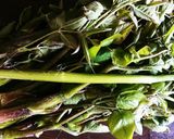 山の鯨！？山ウドのみそ煮作り方1写真