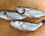 晩春は シログチ（イシモチ）の幽庵焼き作り方3写真