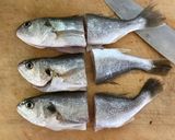晩春は シログチ（イシモチ）の幽庵焼き作り方4写真