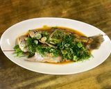 晩春はシログチ（イシモチ）のごま油焼作り方9写真