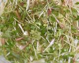 ミックス薬味【半調理】作り方1写真