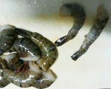 天ぷら作り方1写真