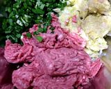 タネから作る☆こねない☆パリパリ餃子作り方2写真