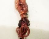 生姜が香るホタルイカごはん作り方2写真