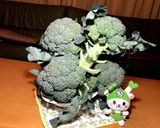 パパさん(^^)/感謝の生グリーンカレー作り方6写真
