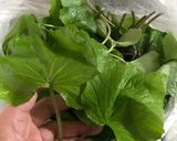 葉わさび・花わさびの醤油漬け作り方1写真