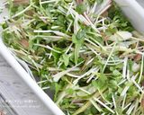 ミックス薬味【半調理】作り方2写真