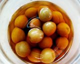 青梅の小梅で簡単！カリカリ梅(醤油漬け)作り方15写真