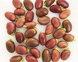 越前赤そら豆のマヨネーズ添え作り方1写真