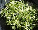 豆苗のかきたまスープ作り方2写真