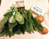 濃厚ほうれん草ポタージュ作り方1写真