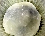 いちご大福作り方8写真