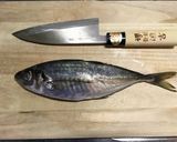 こだわり鯵寿司作り方1写真