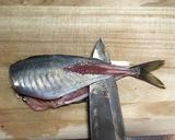 こだわり鯵寿司作り方8写真