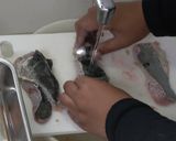 サクサク衣で鯰（ナマズ）の唐揚げ♪作り方3写真