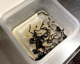 野菜 たっぷり 元気 サラダ作り方4写真