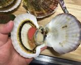 こだわりホタテ握り作り方3写真