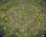 濃厚な香り！やみつき豆もやしのナムル作り方2写真