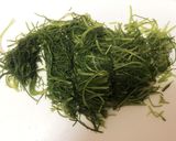 超簡単！栄養満点！おかひじきの酢みそ和え作り方3写真