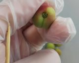 カリカリ小梅作り方6写真