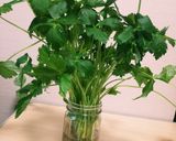 三つ葉の新鮮な保存方法作り方3写真