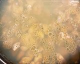 鶏レバーのオリーブオイル漬け作り方7写真