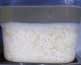 愛で育てる「生甘酒」作り方9写真