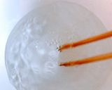 暑い日の冷たい一品♬簡単なすのそうめん風作り方1写真